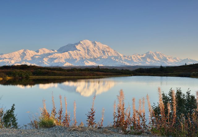 Denali reflected in a pond