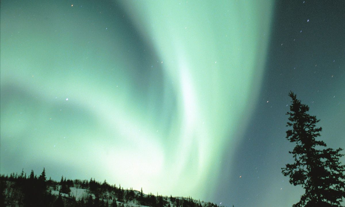 Dramatic green and white Northern Lights Aurora Borealis in the Fairbanks Alaska night sky