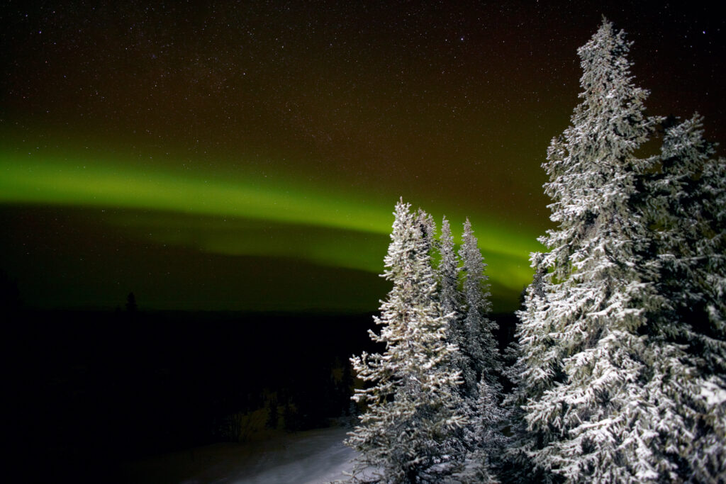 Aurora Borealis in the winter, Fairbanks, Alaska