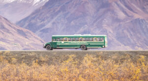Denali Park shuttle bus