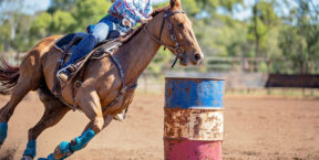 Horse in barrel racing competition