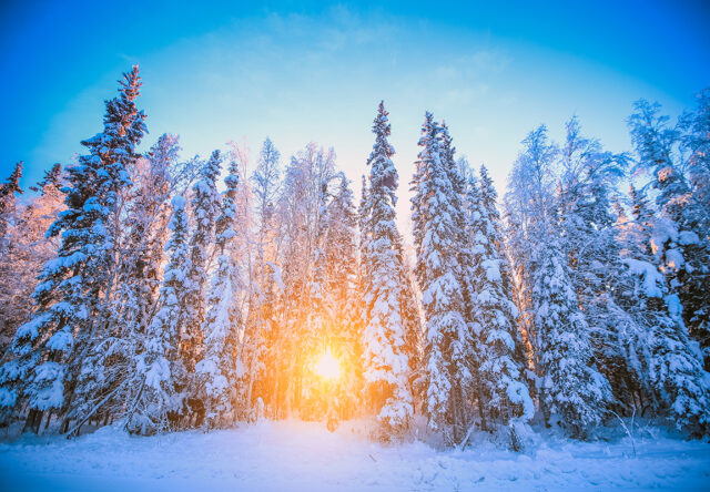 Fairbanks in winter